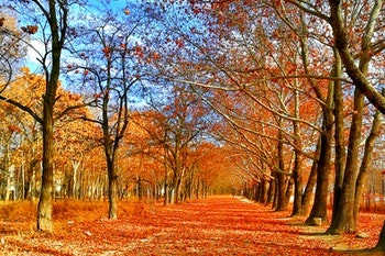 Moving in the Fall